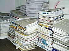 Сроки сдачи отчетности организациям-опекунам увеличили на три месяца