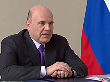 Сельское хозяйство в Ставропольском крае достигло показателей, установленных на 2030 год