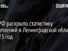 МВД РФ раскрыло статистику преступлений в Ленинградской области за 2023 год