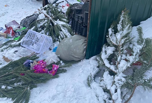 «Один раз в десять дней»: омский регоператор объяснил, почему в городе стали реже вывозить мусор