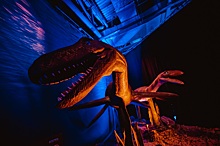 Мировая интерактивная выставка «Динозавры морских глубин»