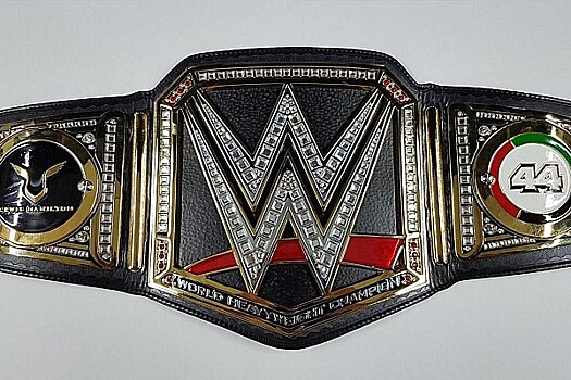 WWE подарила Хэмилтону чемпионский пояс