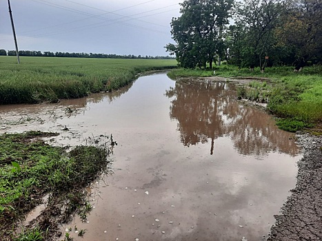 Поля на юге России частично утопают в воде