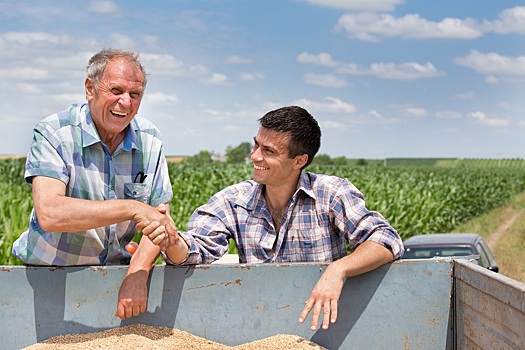 Египет хочет увеличить сбор пшеницы более чем на 300 тыс тонн