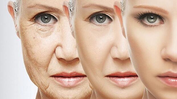 Ученые вычислили гены, отвечающие за старение