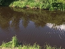 В Омской области в котловане утонула 12-летняя девочка