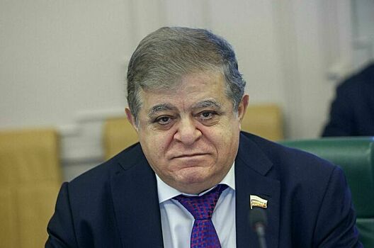 Сенатор Джабаров исключил вероятность военного конфликта между Венгрией и Украиной