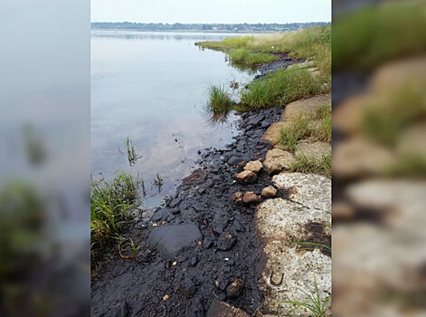 На берегу Волги обнаружили огромные нефтяные пятна. Что говорят власти