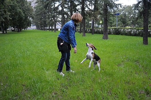 Более 1 000 горожан приняли участие в акции «Убери за своим питомцем!»