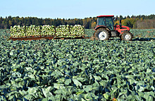 Россия увеличила экспорт агропромышленной продукции в 2022 году