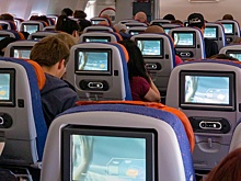 Юрист Горгадзе предложил решение проблемы авиадебоширов без изменения законов