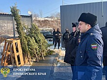 Во Владивостоке и Находке пресекли незаконную продажу новогодних ёлок