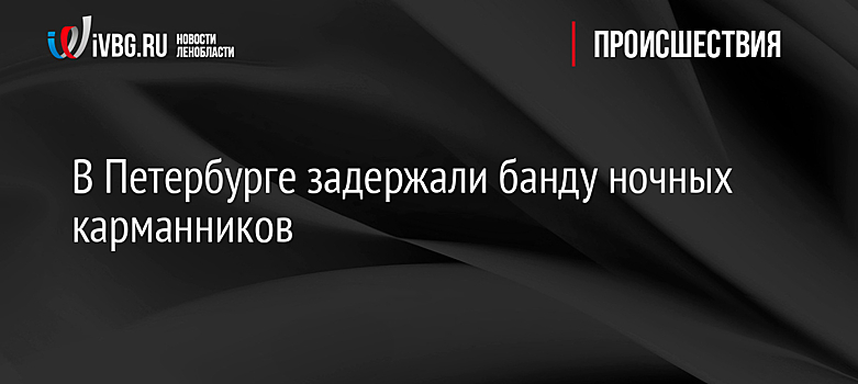 В Петербурге задержали банду ночных карманников