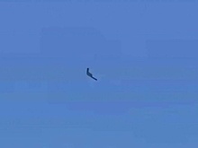 Израильский дрон над Ираном приняли за  бомбардировщик США B-2 Spirit