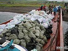 Волонтеры Приморья спасают пляжи и острова от «утопания» в мусоре