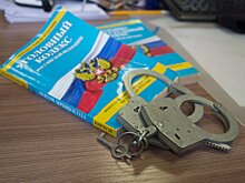 Игорь Чкалов прокомментировал информацию о возможном деле против правнучки Героя СССР Чкалова