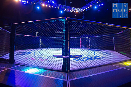 Бойцы из Дагестана уволены из UFC