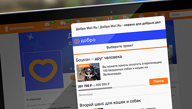 В Одноклассниках появился сервис для помощи бездомным животным