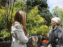 Новым брендом станет цитрус