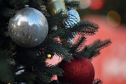 Старый Новый год отпразднуют на онлайн-платформе парка «Таганский»