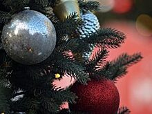 Старый Новый год отпразднуют на онлайн-платформе парка «Таганский»