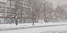 Похолодание и небольшой снег пообещали жителям Петербурга