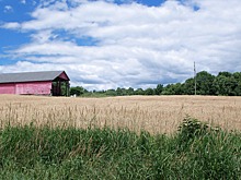 Tessenderlo Group откроет новое предприятие в США