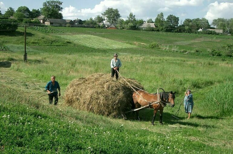 В Госдуме планируют осенью принять закон о статусе крестьянского хозяйства