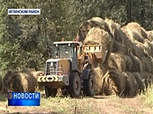 В Башкортостане продолжается кормозаготовка для скота