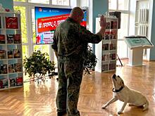 В Асеевке курские школьники встретились с кинологом и собакой