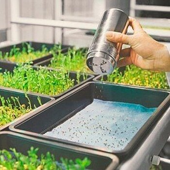 ИКЕА начнет продавать домашние экофермы для выращивания овощей