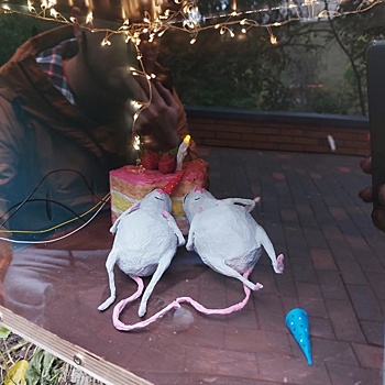 Уличная художница из Твери создала арт-объект с мышами на Почаинском бульваре