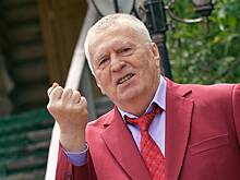 В Совфеде высказались об упоминании Жириновского в файлах Эпштейна