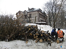 «Мало посадок». Нижегородские депутаты предложили мэрии активнее работать топором