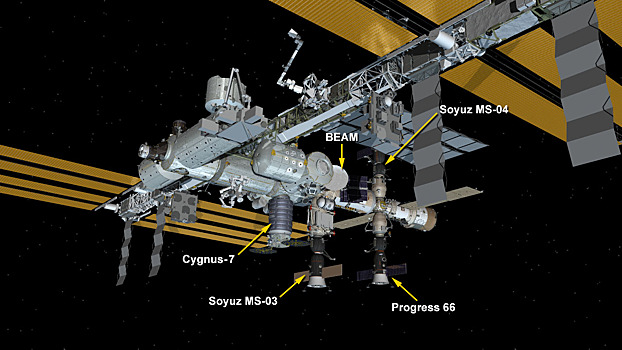Космические гости на МКС