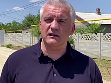 Глава Крыма предложил запретить мигрантам привозить семьи в Россию