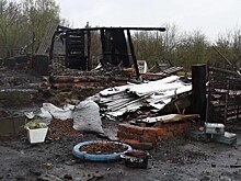 В Пензенской области полицейские вытащили из горящего дома мать с полуторагодовалым ребёнком
