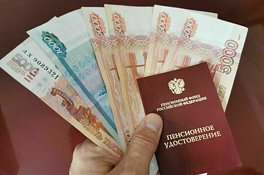 В Госдуме предложили досрочно назначать пенсию для многодетных отцов