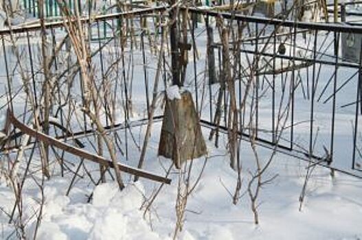 Хоронить негде. Жители Новомихайловки борются за местное кладбище