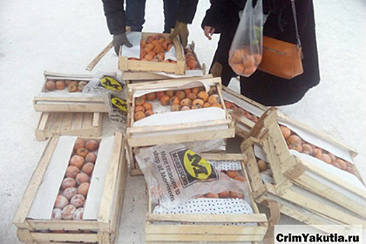 Жители Якутска выкупили замерзшую хурму у застрявшего дальнобойщика