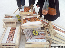 Жители Якутска выкупили замерзшую хурму у застрявшего дальнобойщика