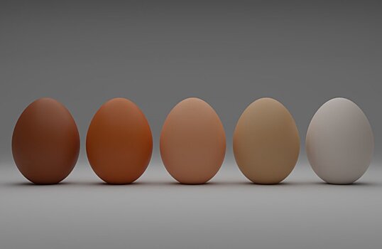 Россельхознадзор разрешил ввозить в РФ инкубационные яйца с трех турецких предприятий