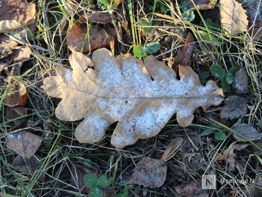 Опубликован прогноз погоды в Нижнем Новгороде на последнюю неделю октября