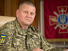Стало известно, кто может помочь Залужному стать президентом Украины