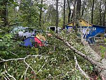 В Калужской области мужчина и шестилетняя девочка погибли во время урагана