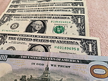 Стало известно о давлении странами ЕС на США и Японию по российским активам