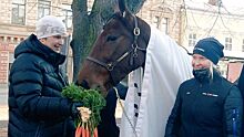 Самым выдающимся жителем финского Турку стала лошадь