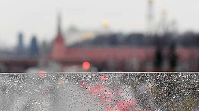 Вильфанд: снега в Москве точно не будет как минимум до середины декабря