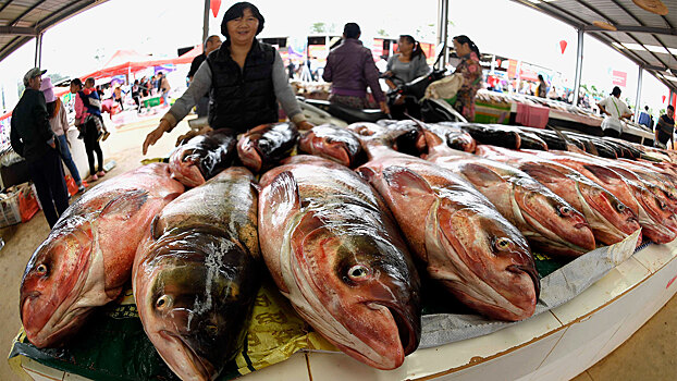 Диетолог: глубоководная рыба может быть опасна для здоровья