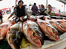 Диетолог: глубоководная рыба может быть опасна для здоровья